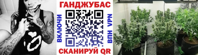 Где купить наркотики Унеча КОКАИН  Меф мяу мяу  БУТИРАТ  ОМГ ОМГ сайт  Канабис 
