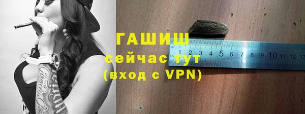 дурь Няндома
