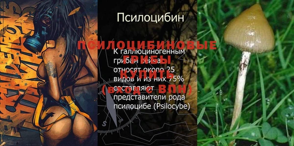 spice Нягань