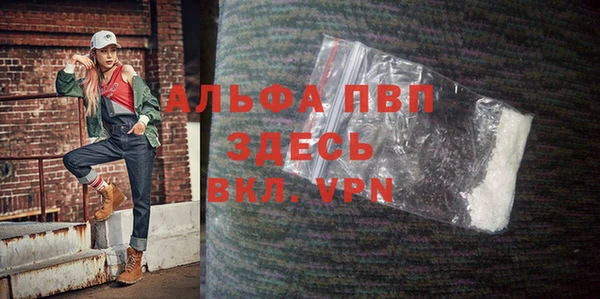 дурь Няндома