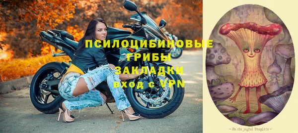 дурь Няндома