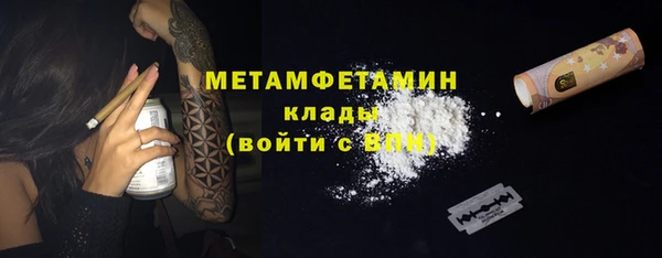 дурь Няндома