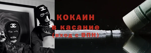 дурь Няндома
