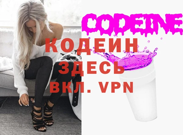 дурь Няндома