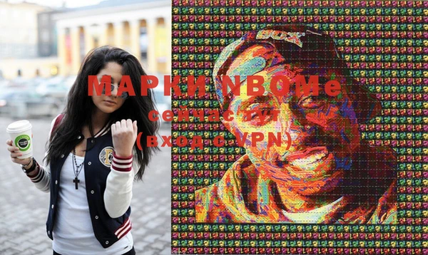 дурь Няндома