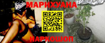 шишки Волжский