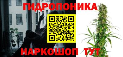 тгк Волжск