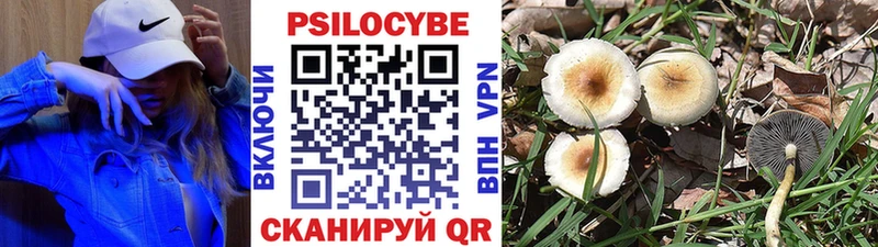 Псилоцибиновые грибы прущие грибы  Унеча 