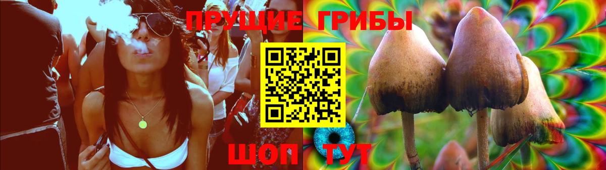 Унеча  Галлюциногенные грибы GOLDEN TEACHER  Вход с VPN 
