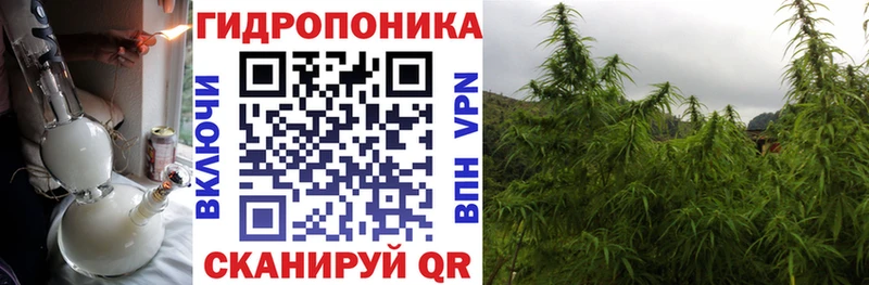 Бошки Шишки сатива  Унеча 